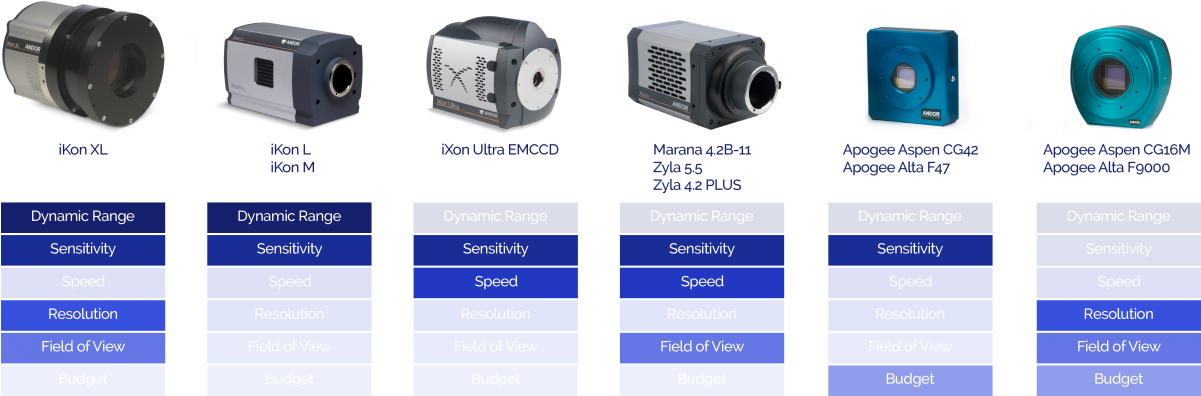 Decision Illustration - Surveillance Camera Clipart (1200x405), Png Download