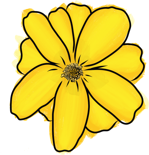 Mexican Tarragon Clipart (1024x1024), Png Download