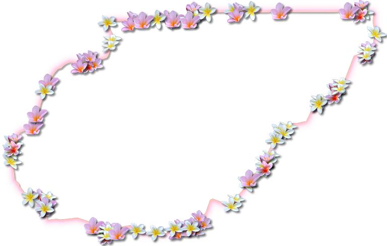 A Map Of Union With A Coral Color Glow Border And Pink - Floral Design Clipart (768x488), Png Download