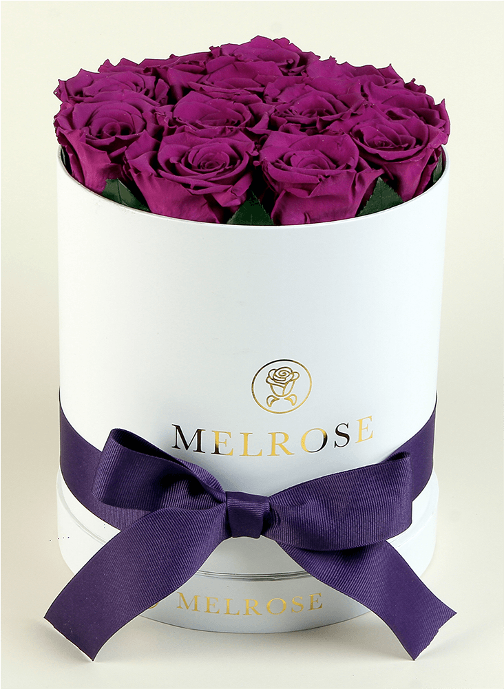 The Melrose Small Round Box Purple - Garden Roses Clipart (1000x1000), Png Download