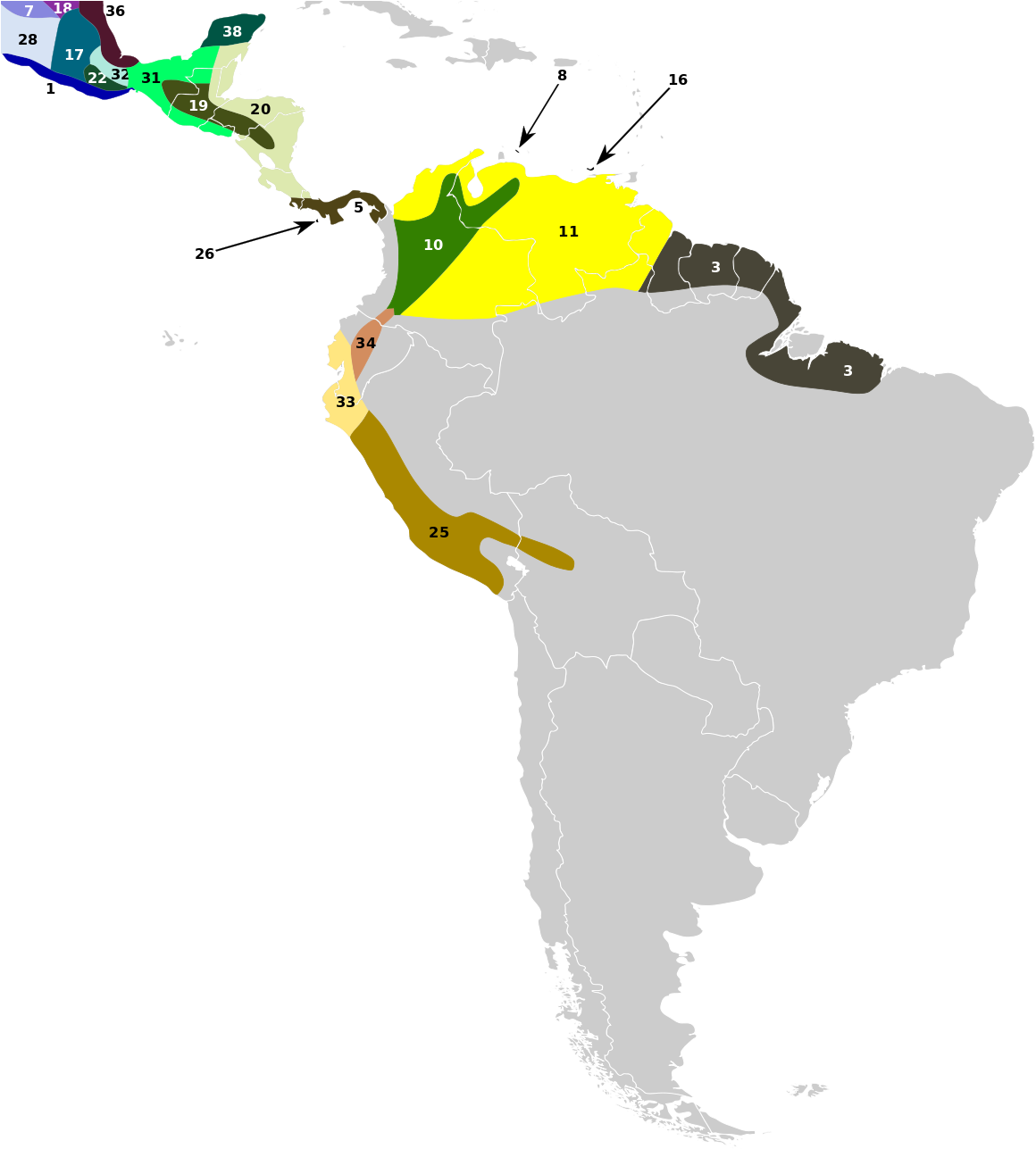 White Tailed Deer South America Clipart (1200x1297), Png Download