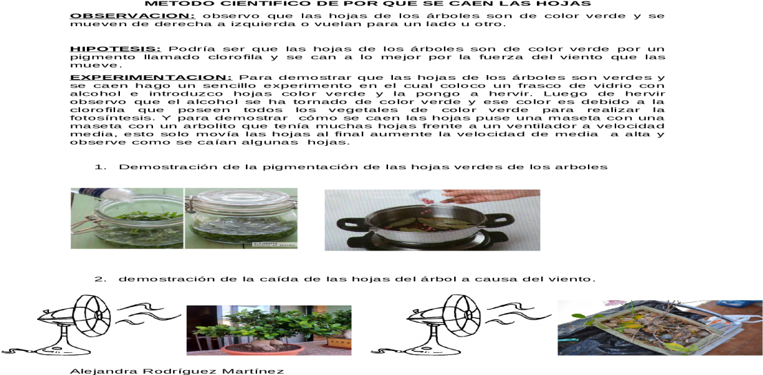 Sauté Pan Clipart (1200x630), Png Download