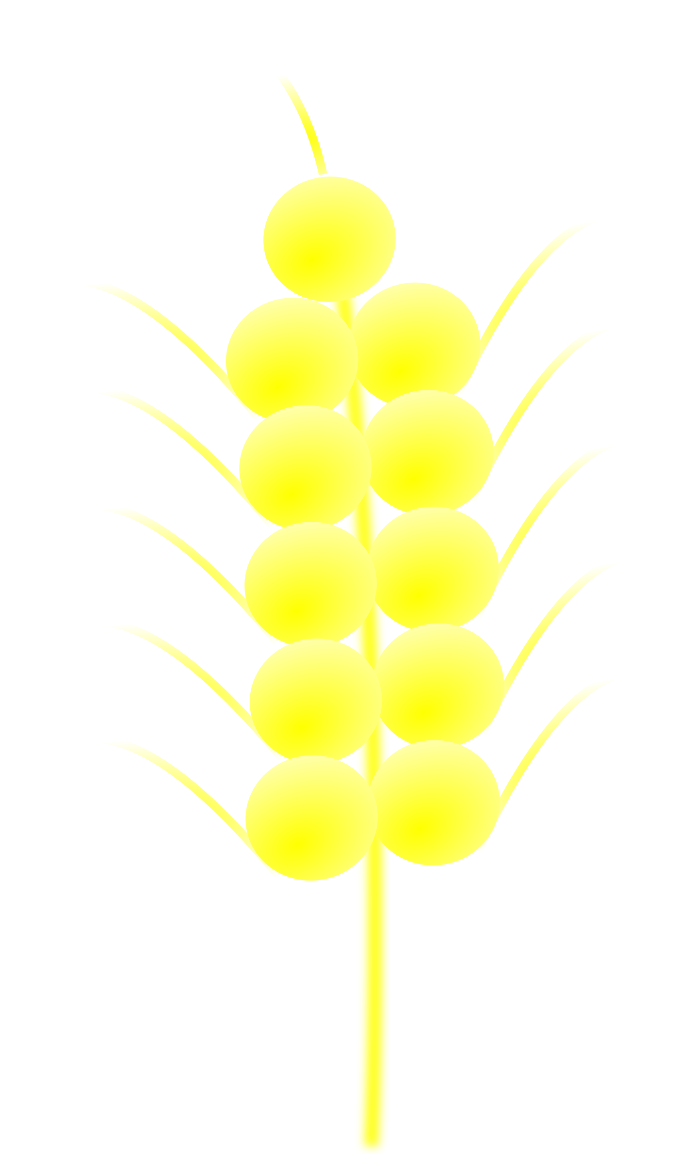 Wheat Png - Night Clipart (1446x2400), Png Download