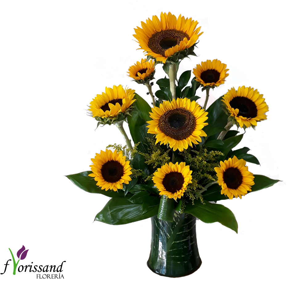 Jarron Cristal Forrado En Hojas Verdes - Sunflower Clipart (1200x1000), Png Download