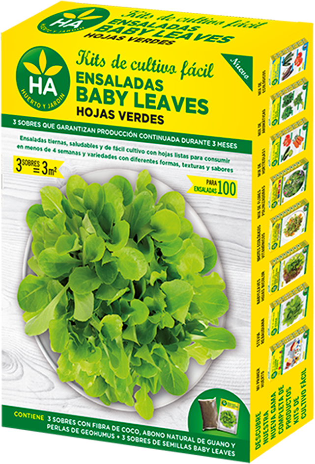 Caja Babyleavesbicolor Ha - Flores De Rapido Crecimiento Clipart (800x980), Png Download