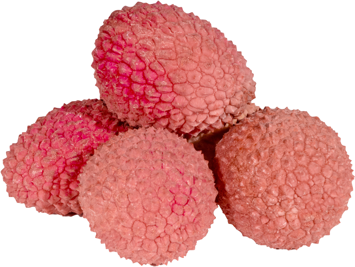 Lychee - Lychee Png Clipart (1364x1060), Png Download