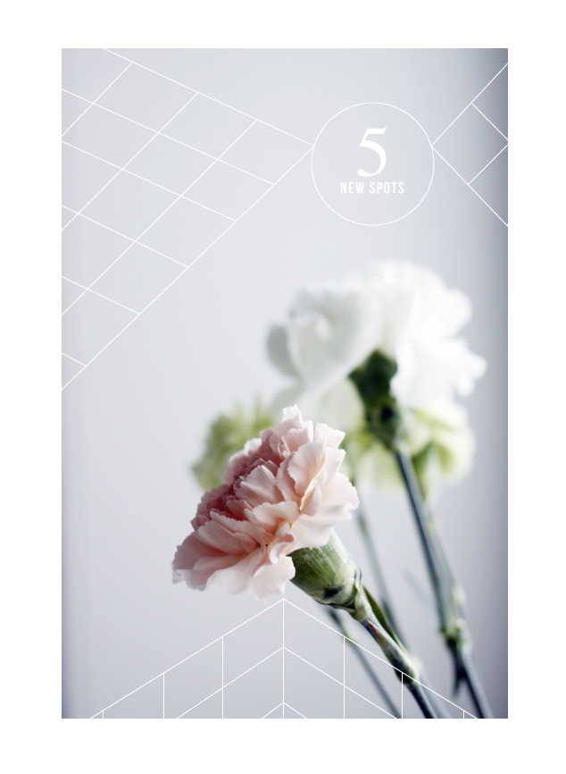 Blog Milk The Blog - White Carnations Iphone Clipart (640x870), Png Download