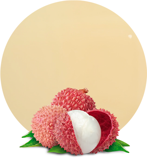 Com/wp Puree - Lychee Sticker Clipart (536x595), Png Download