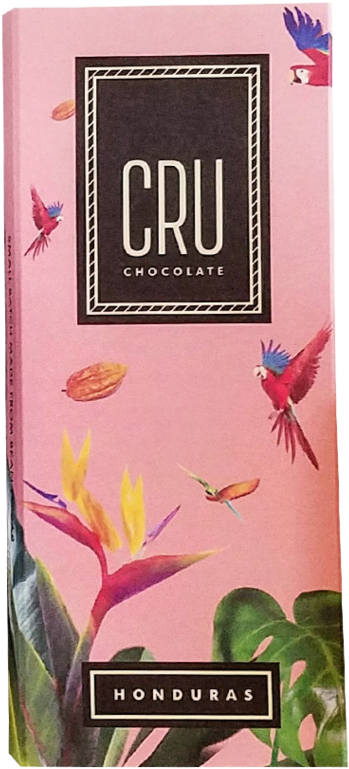 $8 - Japanese Camellia Clipart (1024x1024), Png Download