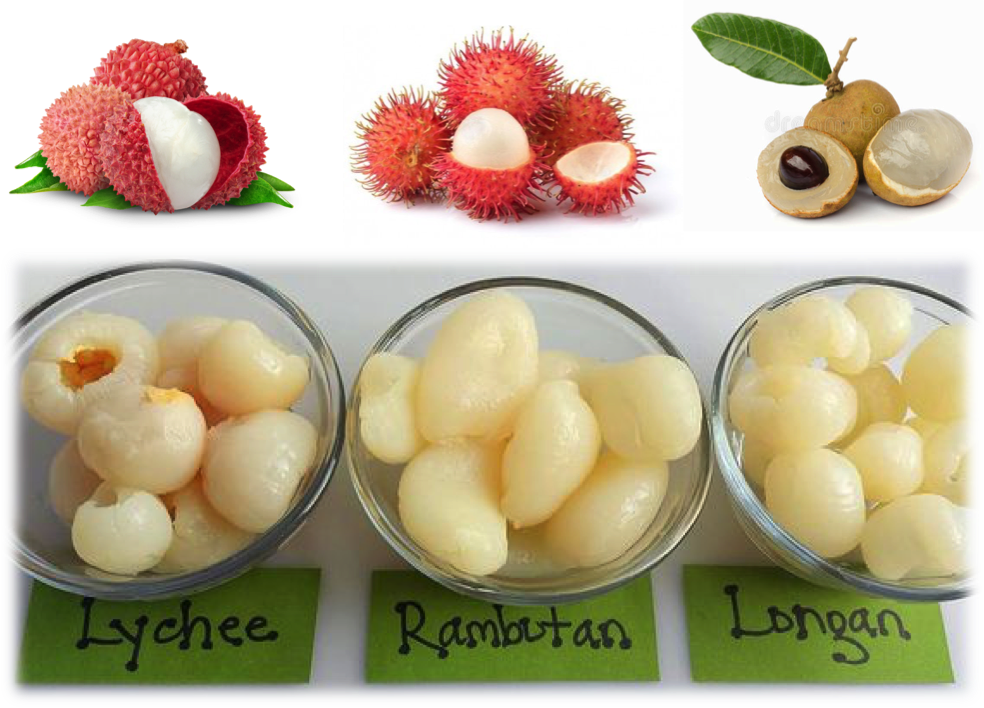 Lychee Has More Is Similar In That It Is Red, But There - Rambutan Clipart (984x708), Png Download
