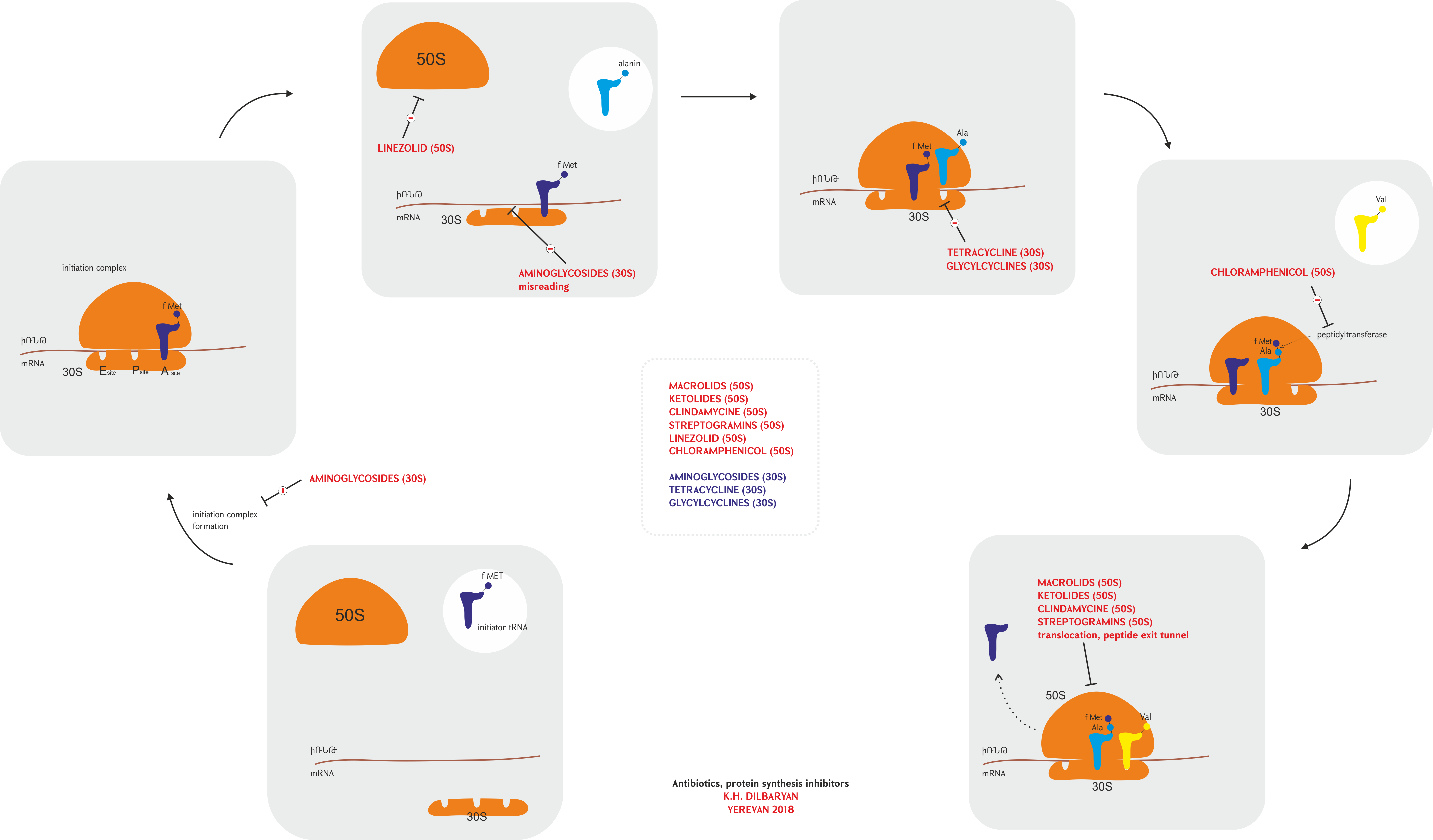 Protein Synthesis Inhibitors Antibiotic - Protein Synthesis Inhibitors Antibiotics Clipart (4296x2519), Png Download