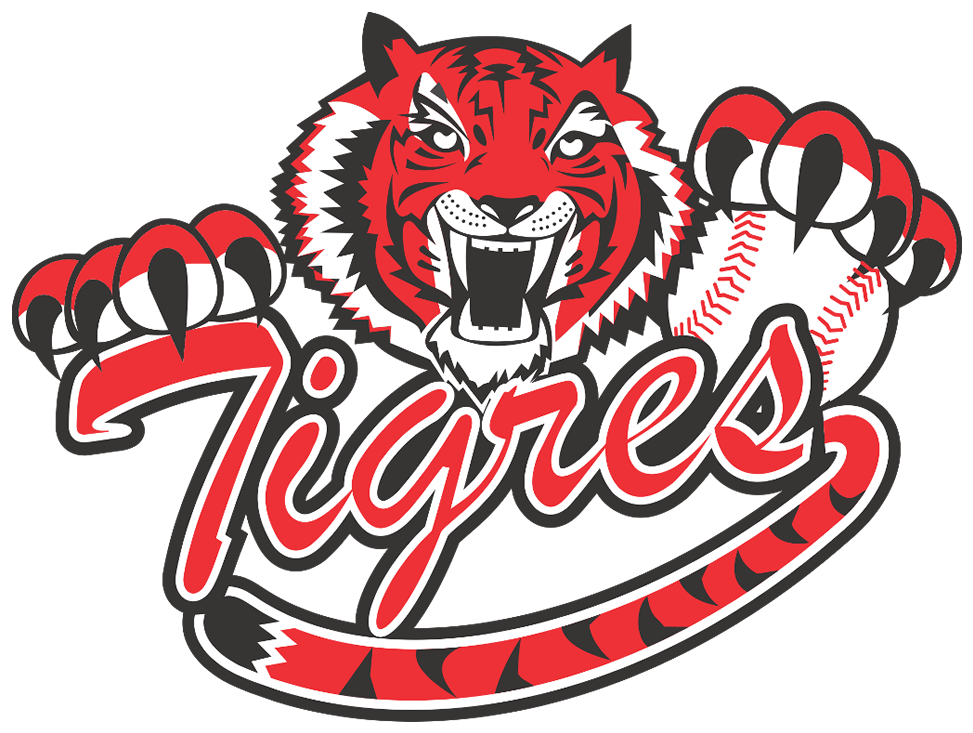 Inicio Tigres De Cartagena Lcbp - Tigres De Cartagena Clipart (1024x765), Png Download