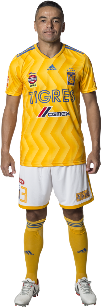 Anselmo Vendrechovsky 'juninho' - Sports Jersey Clipart (327x995), Png Download