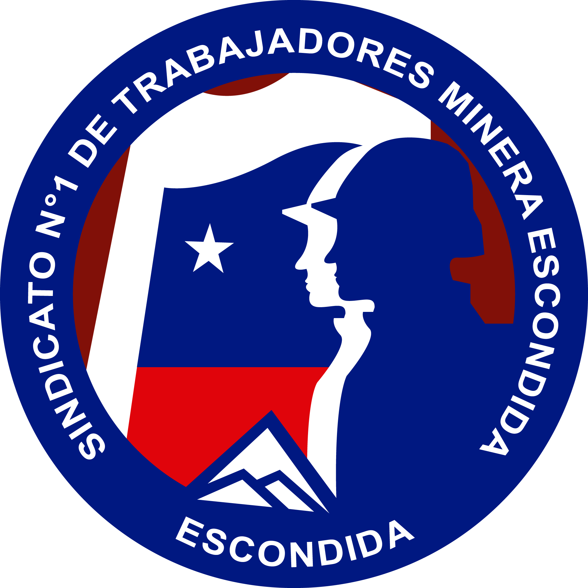 El Sindicato N°1 De Trabajadores De Minera Escondida - Welfare Trust Logo Pakistan Clipart (1989x1989), Png Download