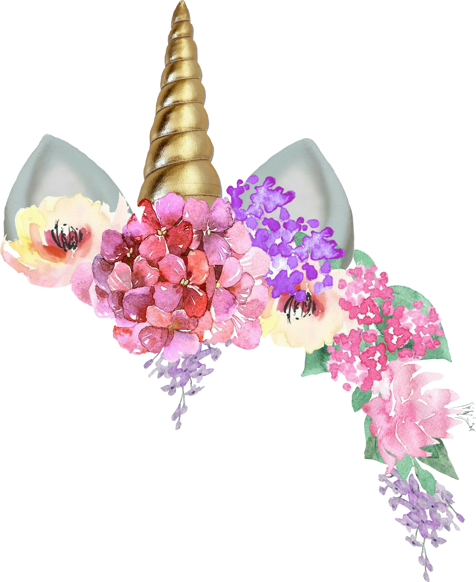 Featured image of post Cara De Unicornio Con Flores Png 1 foto creado por caro