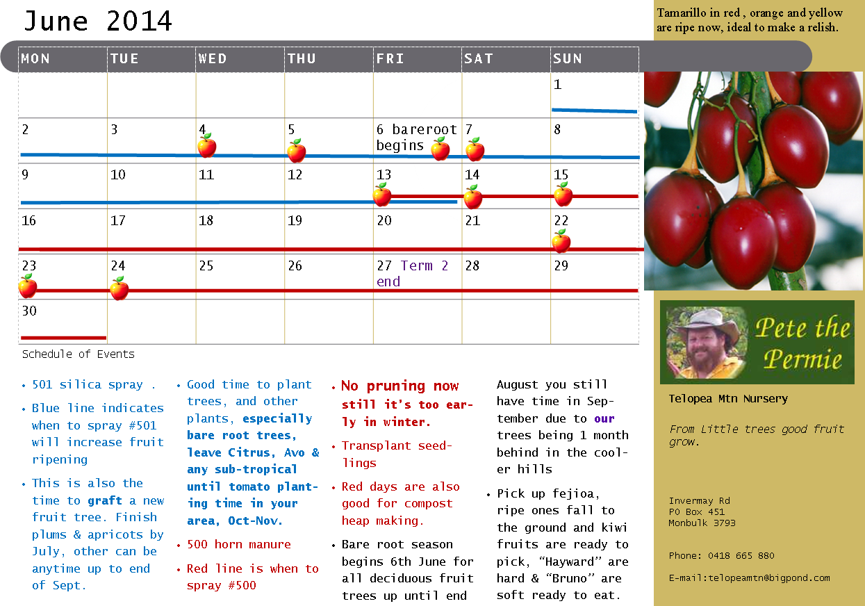 Calendar Example June 2014 02 Jan 2017 - Tree Tomato Clipart (1245x872), Png Download