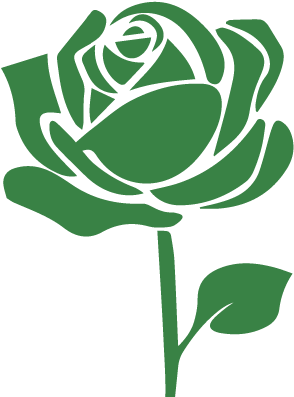 Flor Preservada - Garden Roses Clipart (591x591), Png Download