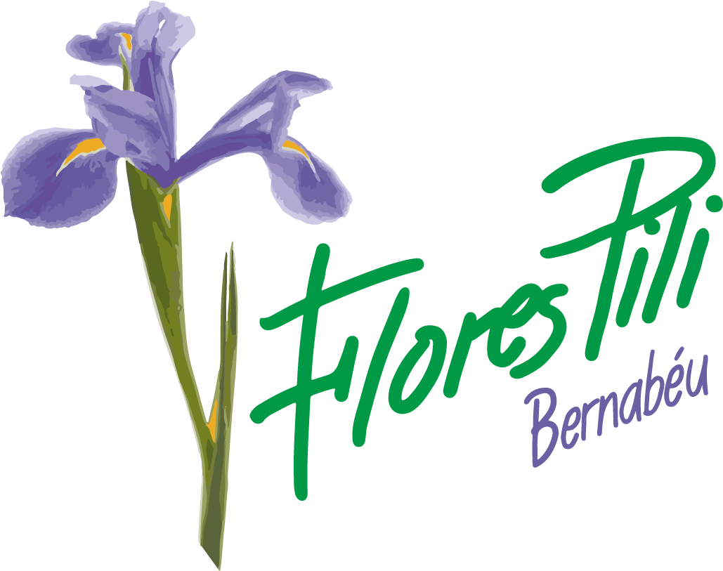 Flores Pili Madrid - Iris Versicolor Clipart (1191x1191), Png Download