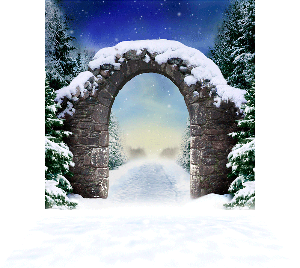 3 Dimensional View Of 10'x20' Backdrop - Snow Bridge Clipart (1000x1000), Png Download