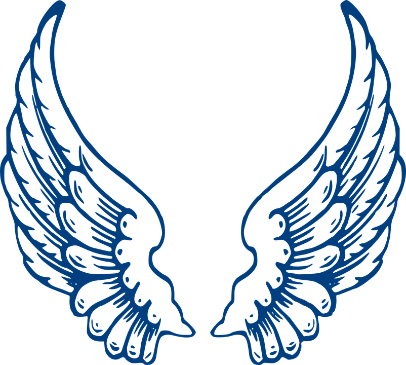 Angel Wings Vector Graphics - Angel Wings Clipart (802x720), Png Download