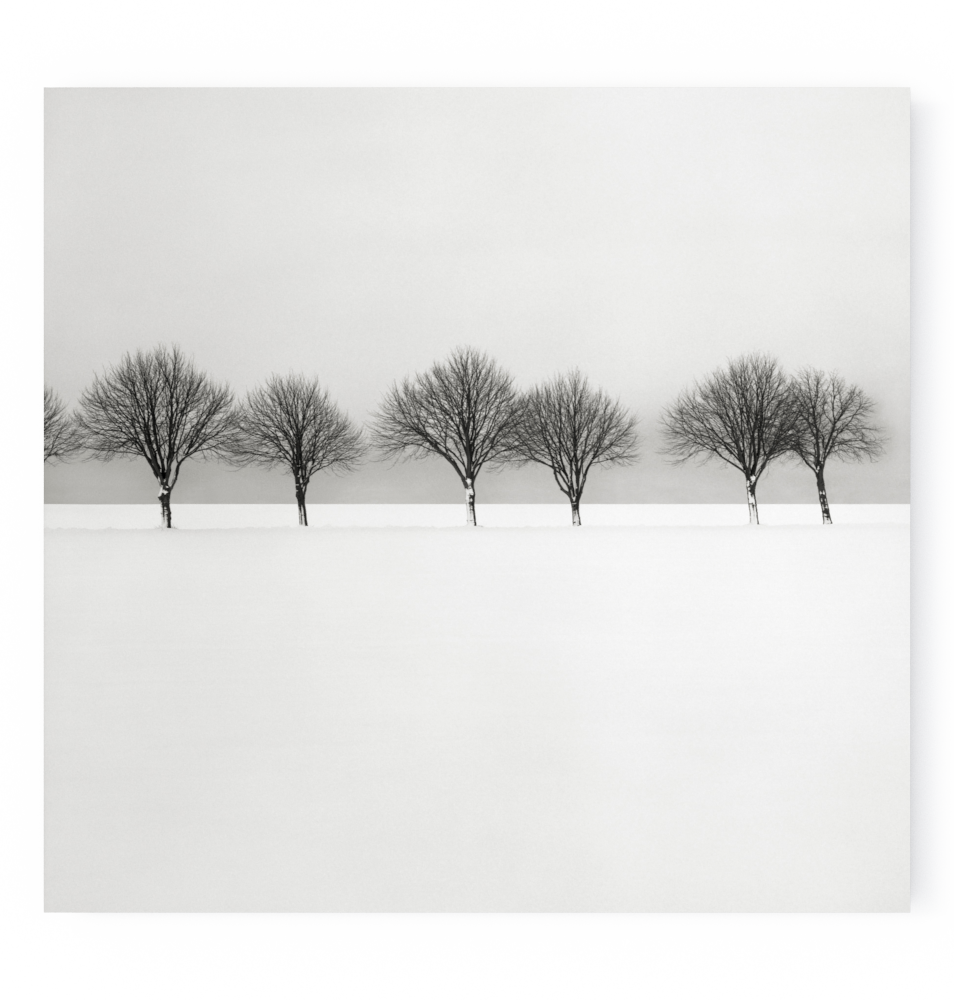 Photo Snow Scene Iii - Monochrome Clipart (954x1000), Png Download