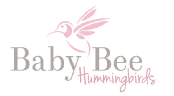Baby Bee Hummingbirds - Couchsurfing Clipart (640x640), Png Download