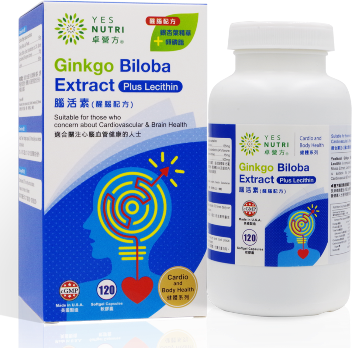 Ginkgo Biloba Extract (120 Sg) - Medical Clipart (1200x1200), Png Download