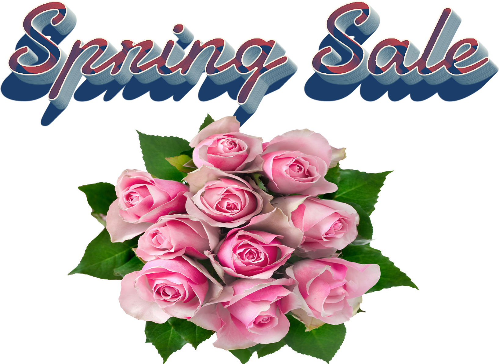 Transparent Pink Rose Flower Bouquet Png Clipart Rose (1920x1200), Png Download