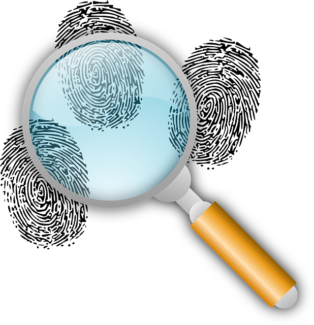 Detective, Clues, Police Work, Find, Fingerprints - Busqueda De Huellas Dactilares Clipart (618x640), Png Download