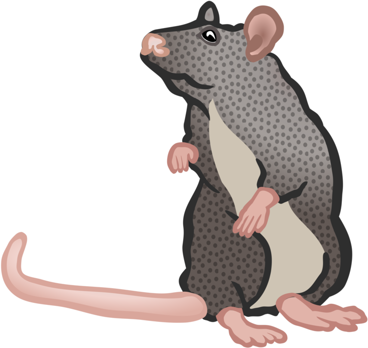 Home Clipart Rat - Ratte Clipart - Png Download (774x750), Png Download