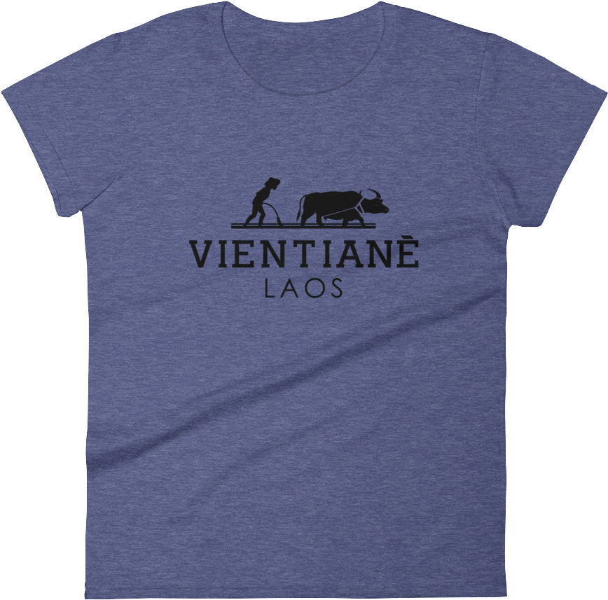 Vientiane Water Buffalo Women's T-shirt - Punxsutawney Phil Clipart (868x857), Png Download