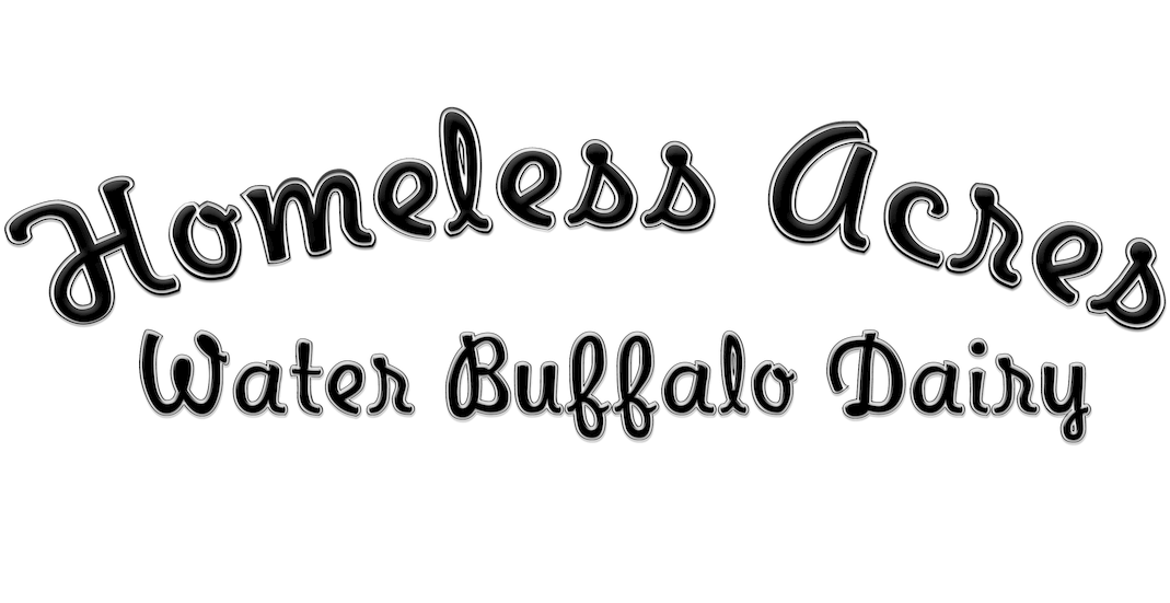 Calligraphy Clipart (1100x550), Png Download