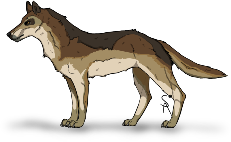 Doodle Wolf Png Clipart (1024x614), Png Download