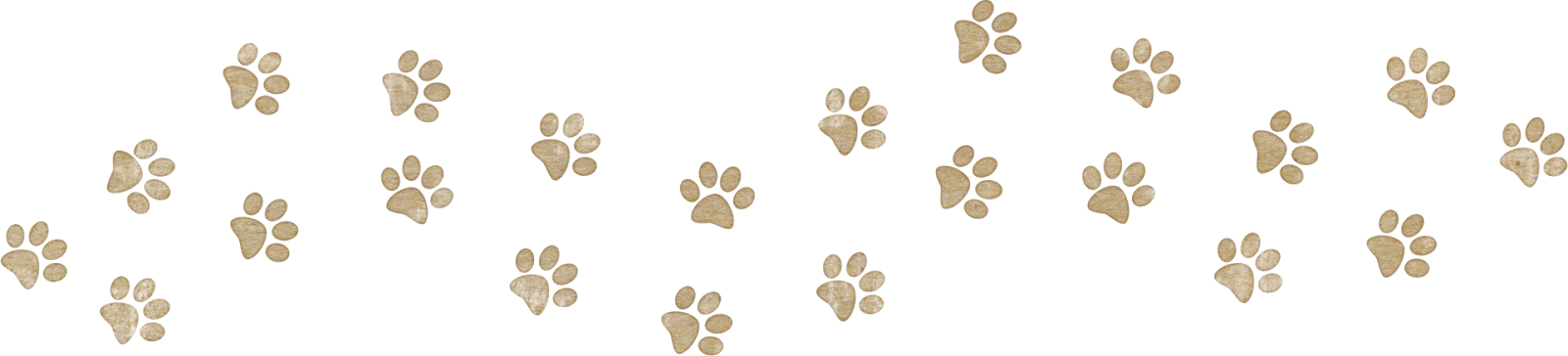 Shetland - Paw Clipart (1600x364), Png Download