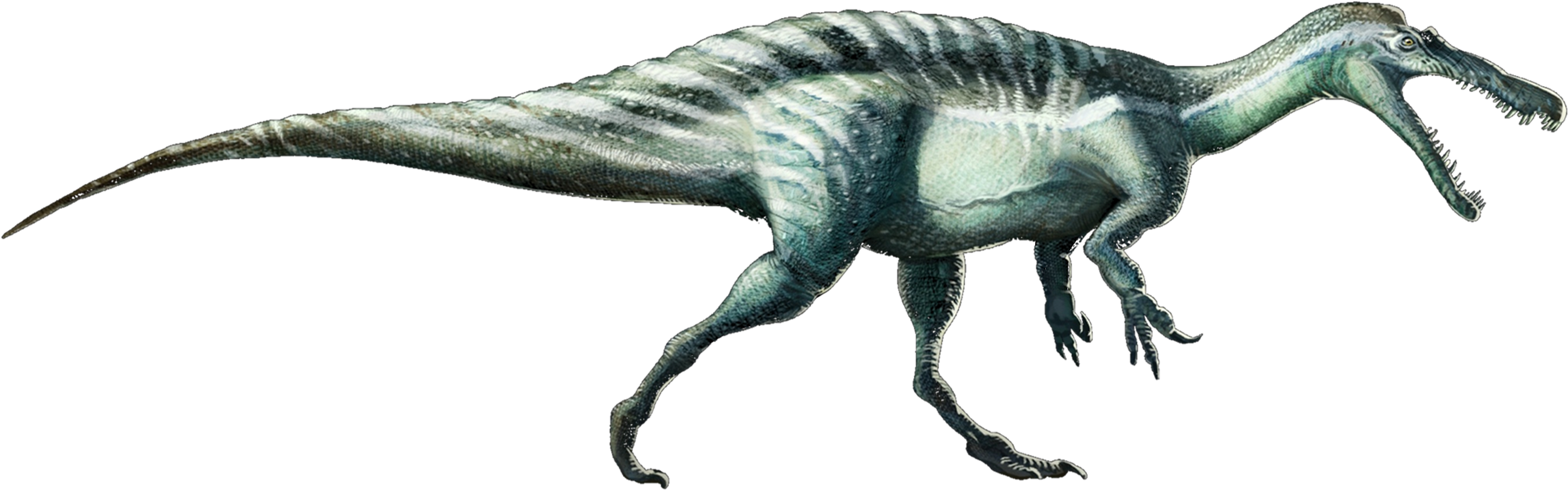 Suchomimustenerensis - Suchomimus Png Clipart (2671x920), Png Download
