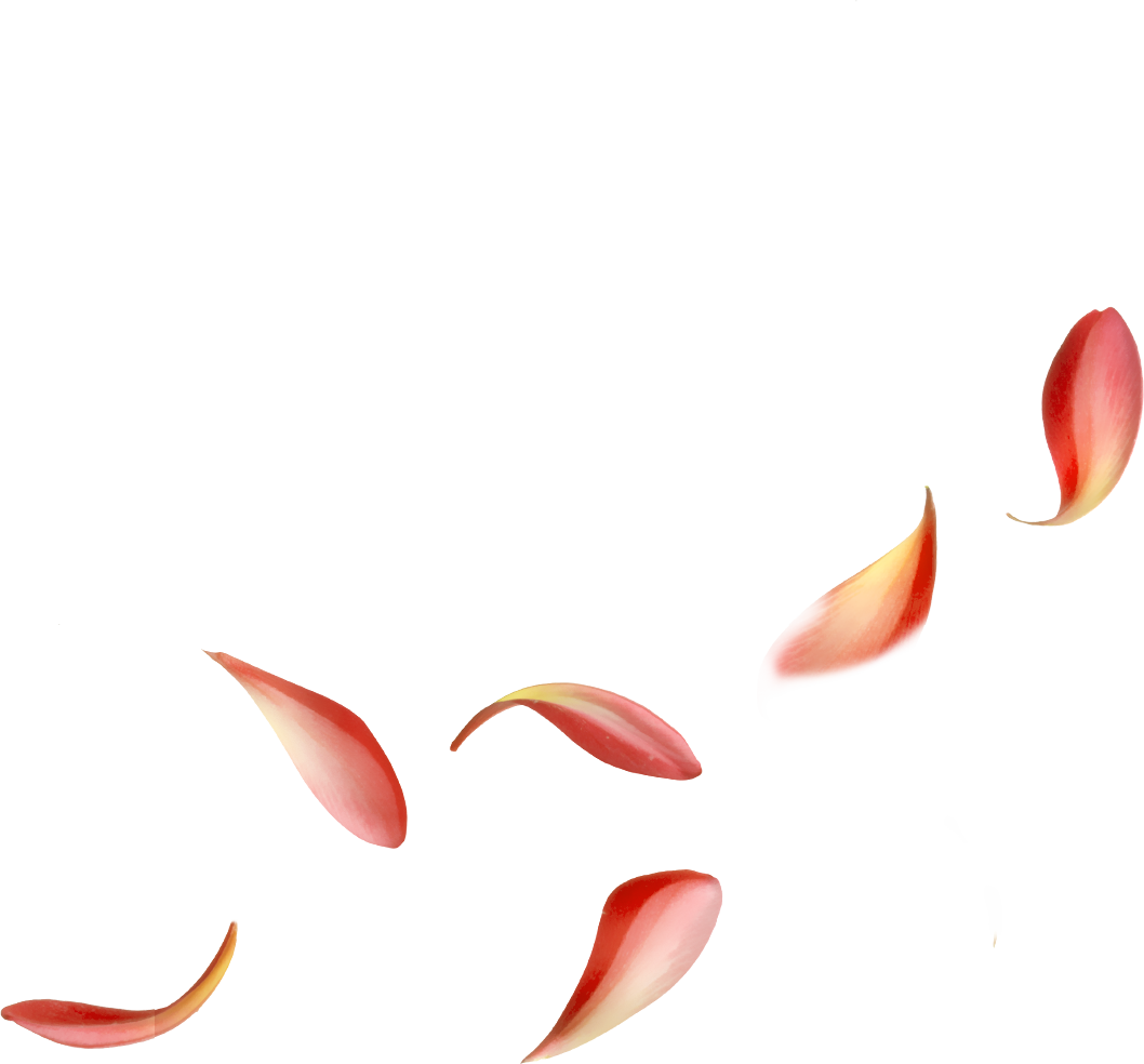 Macro Photography Clipart (1058x984), Png Download