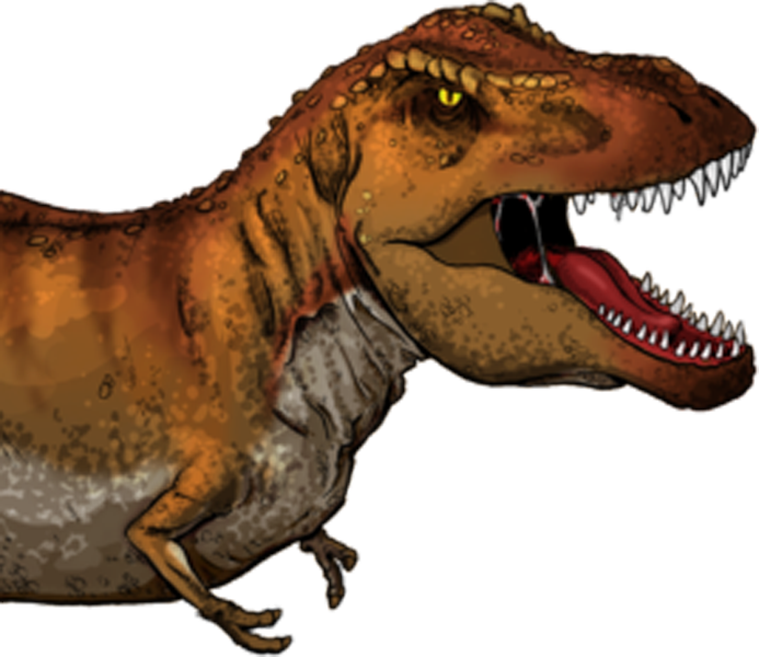 It Is Sized To Fit The Dinosaur Is Sized To Fit The - Tyrannosaurus Rex En Ingles Clipart (693x600), Png Download