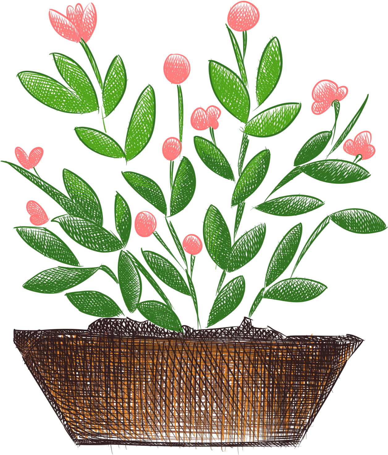 Pintados À Mão Plantas Flores Pintadas Em Vasos Frescos - รูป วาด กระถาง ต้นไม้ Clipart (2000x2000), Png Download