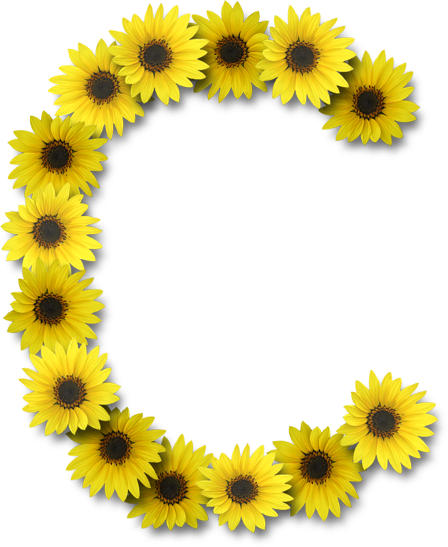 Você Será Avisado De Todos Os Novos Alfabetos Postados - Alfabeto Sunflowers Png Clipart (629x769), Png Download