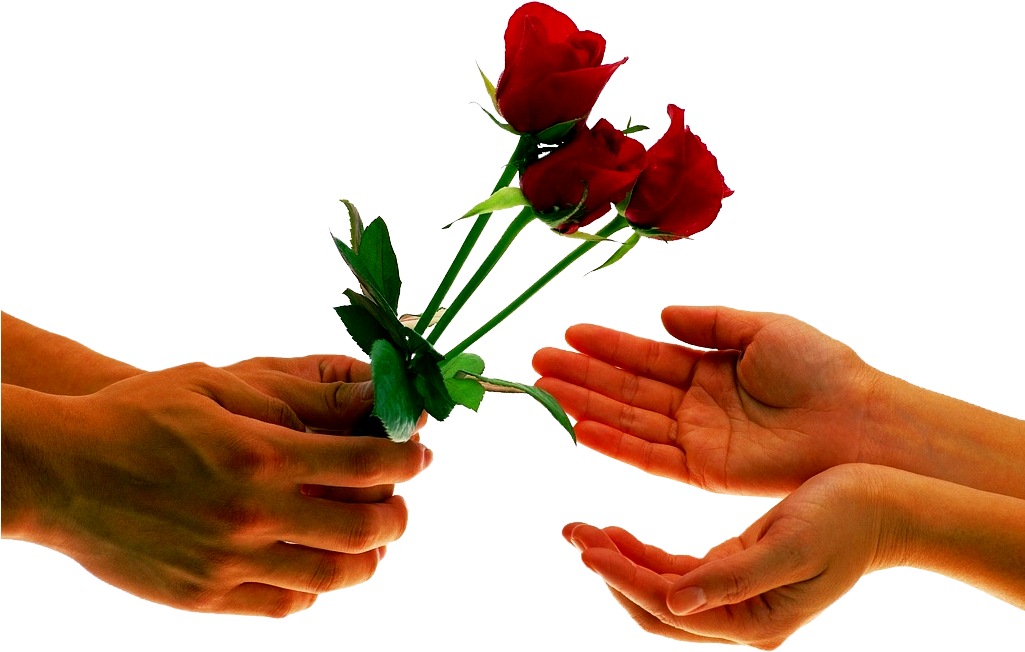 Mãos Com Flores Em Png - 14 February Valentine Day Clipart (1024x768), Png Download