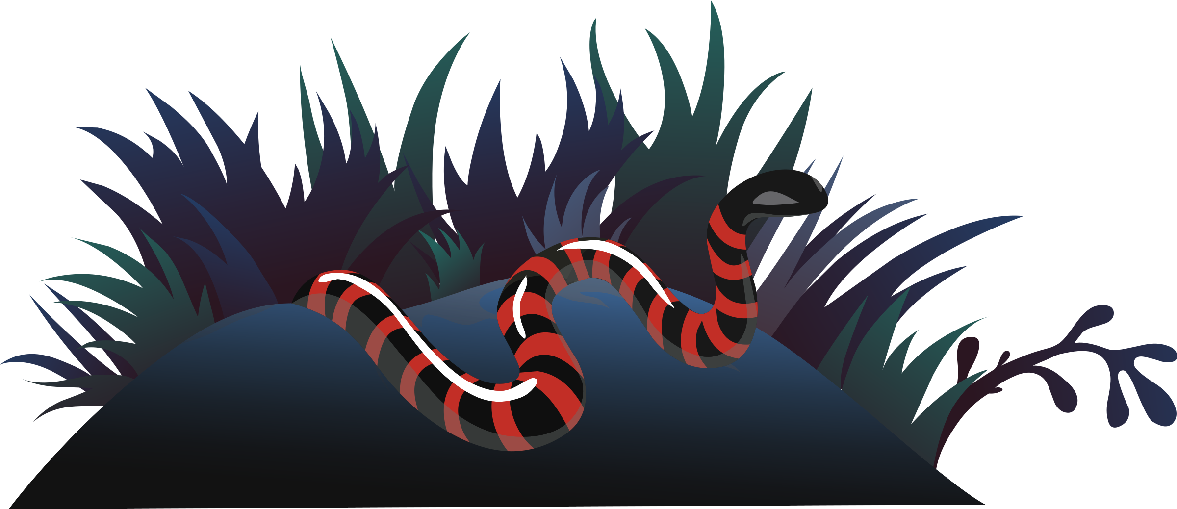 This Free Icons Png Design Of Ilmenskie Snake 1 - Snake Coral Cartoon Clipart (2400x1038), Png Download