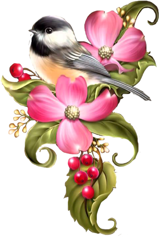 Oiseaux,birds Raindrops And Roses, Stained Glass Flowers, - Painting Clipart (561x800), Png Download