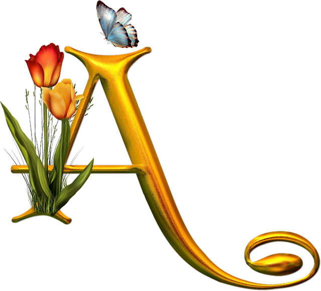 Bello Alfabeto Con Flores Y Mariposas - Letras Desenhadas Clipart (640x580), Png Download