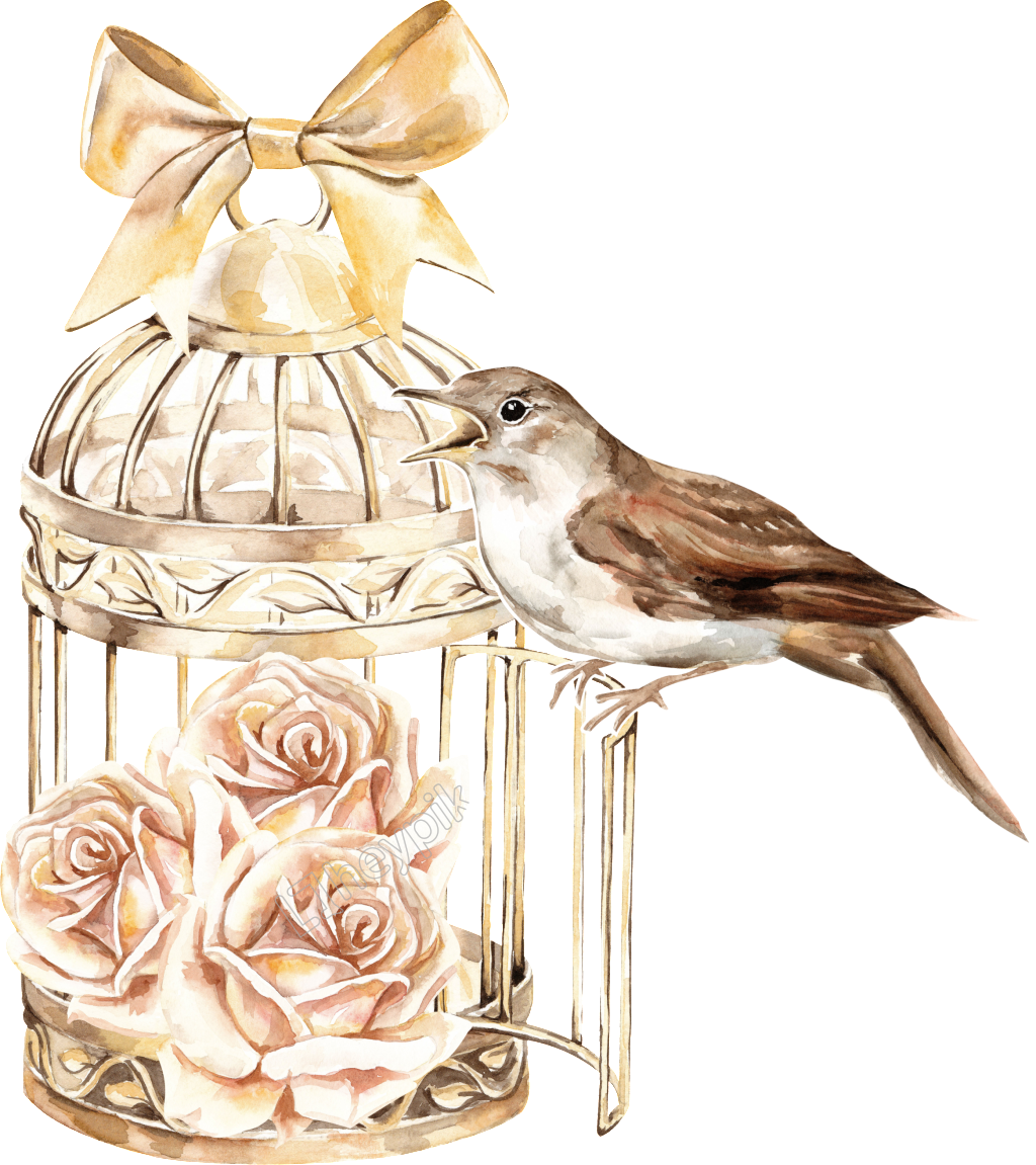 Classical Bird Cage - Birdcage Floral Watercolor Clipart (1024x1151), Png Download