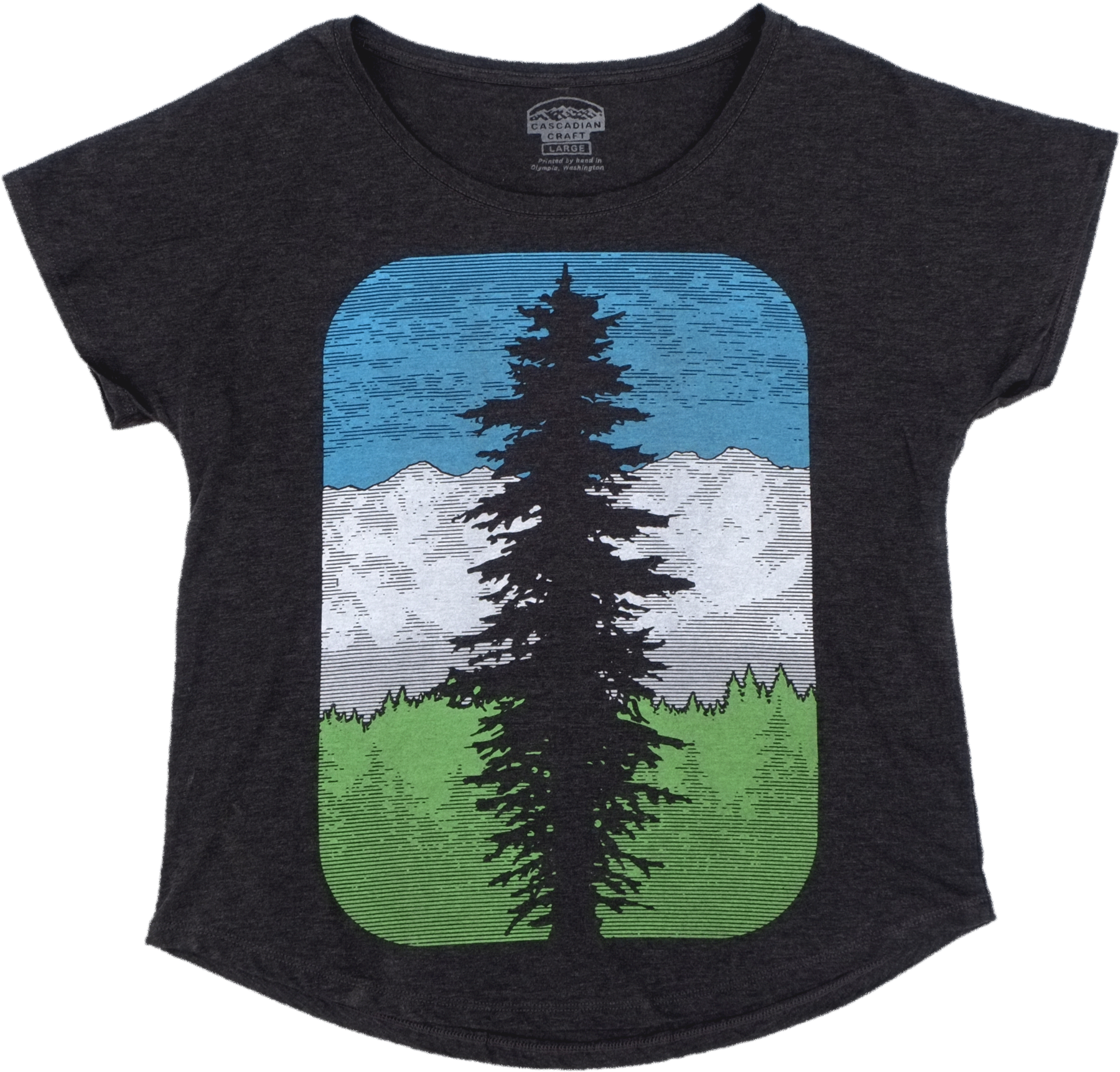 Douglas Fir Png Clipart (2500x2499), Png Download