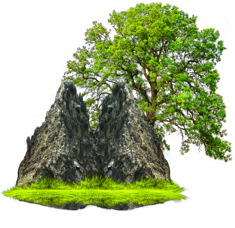 #ftestickers #mountain #tree - Tree On White Background Clipart (1024x819), Png Download