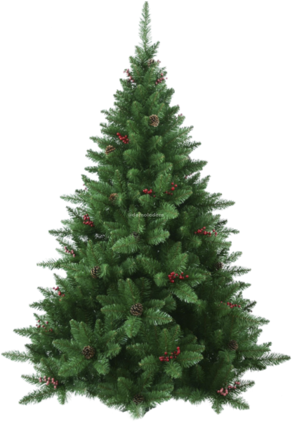Report Abuse - Fraser Fir Tree Clipart (1024x1536), Png Download