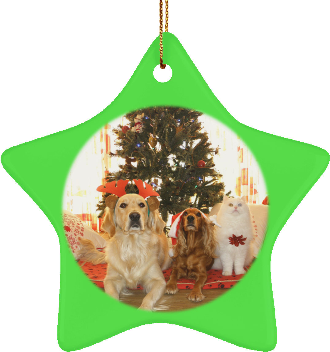 Pet Christmas Tree Ornament Cat Gift Crafted Holiday - Christmas Tree Ideas For Dogs Clipart (1076x1148), Png Download