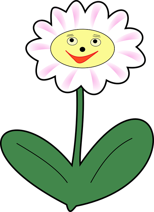 Daisy Flower Plant Face Happy Spring - Clipart Flower With Face - Png Download (525x720), Png Download