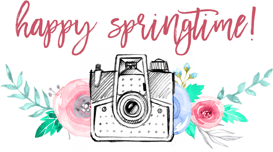 You Are A Success - Garden Roses Clipart (900x565), Png Download